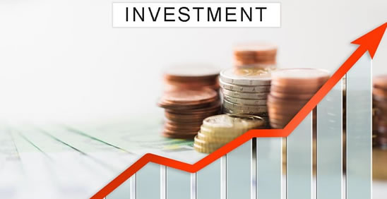 FIXED INCOME INVESTMENT